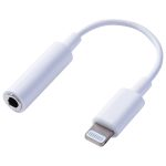lightning_to_3.5mm_headphone_jack_adapter